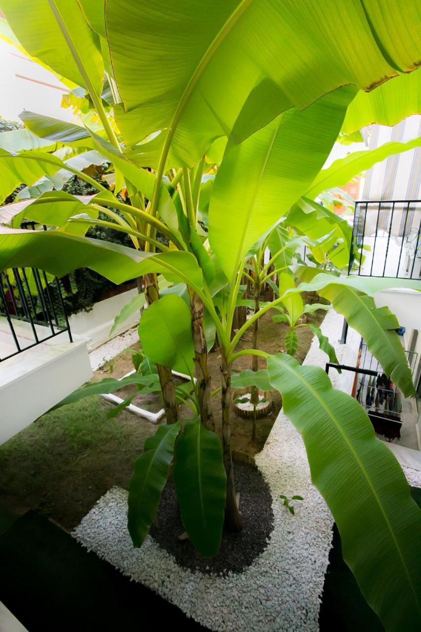 Panorama Apartments Flogita Ngoại thất bức ảnh